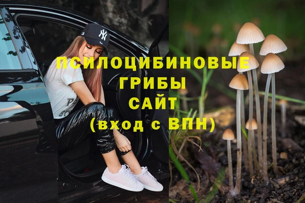 эйфоретик Богородск
