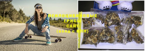первитин Богданович