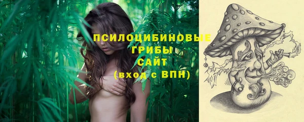 стафф Богородицк