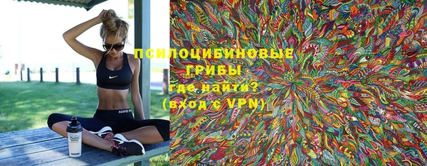 стафф Богородицк