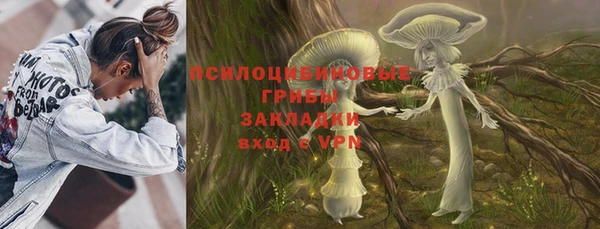 стафф Богородицк