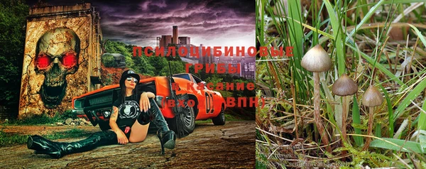 бутират Россошь